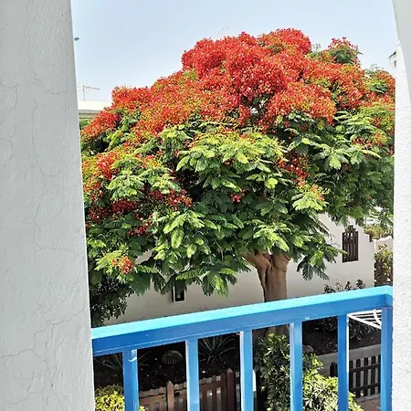 Holiday home Maspalomas Casa La Loba