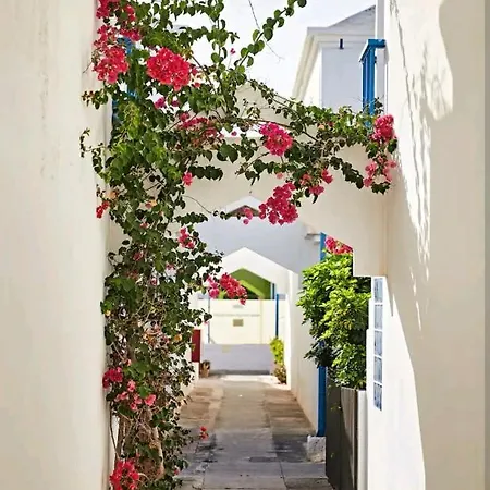 Maspalomas Casa La Loba Holiday home *