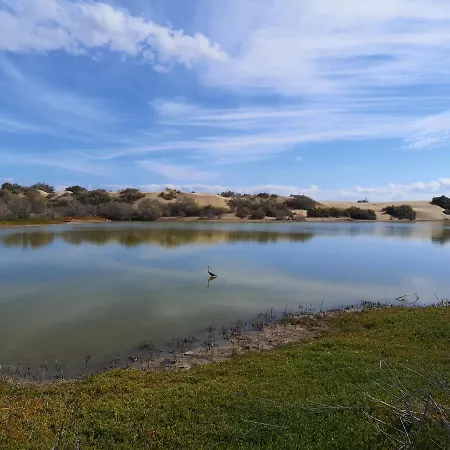 Casa La Loba Casa vacanze Maspalomas (Gran Canaria)